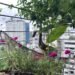 A make believe balcony lawn