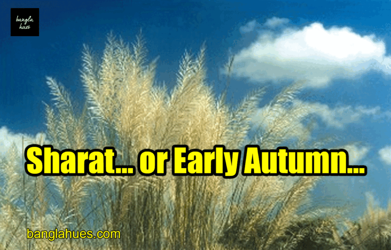 Sharat... or Early Autumn...