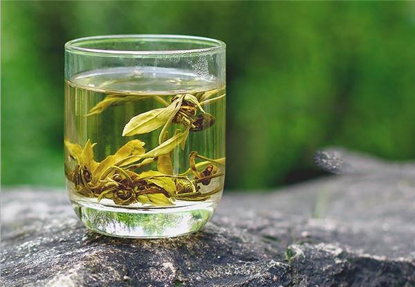 Traditional Jasmine Tea from Fujian Province China Ethereal Cups of Sublime Tea Drinking Pleasure Tea Ceremony: Jasmine Jewel