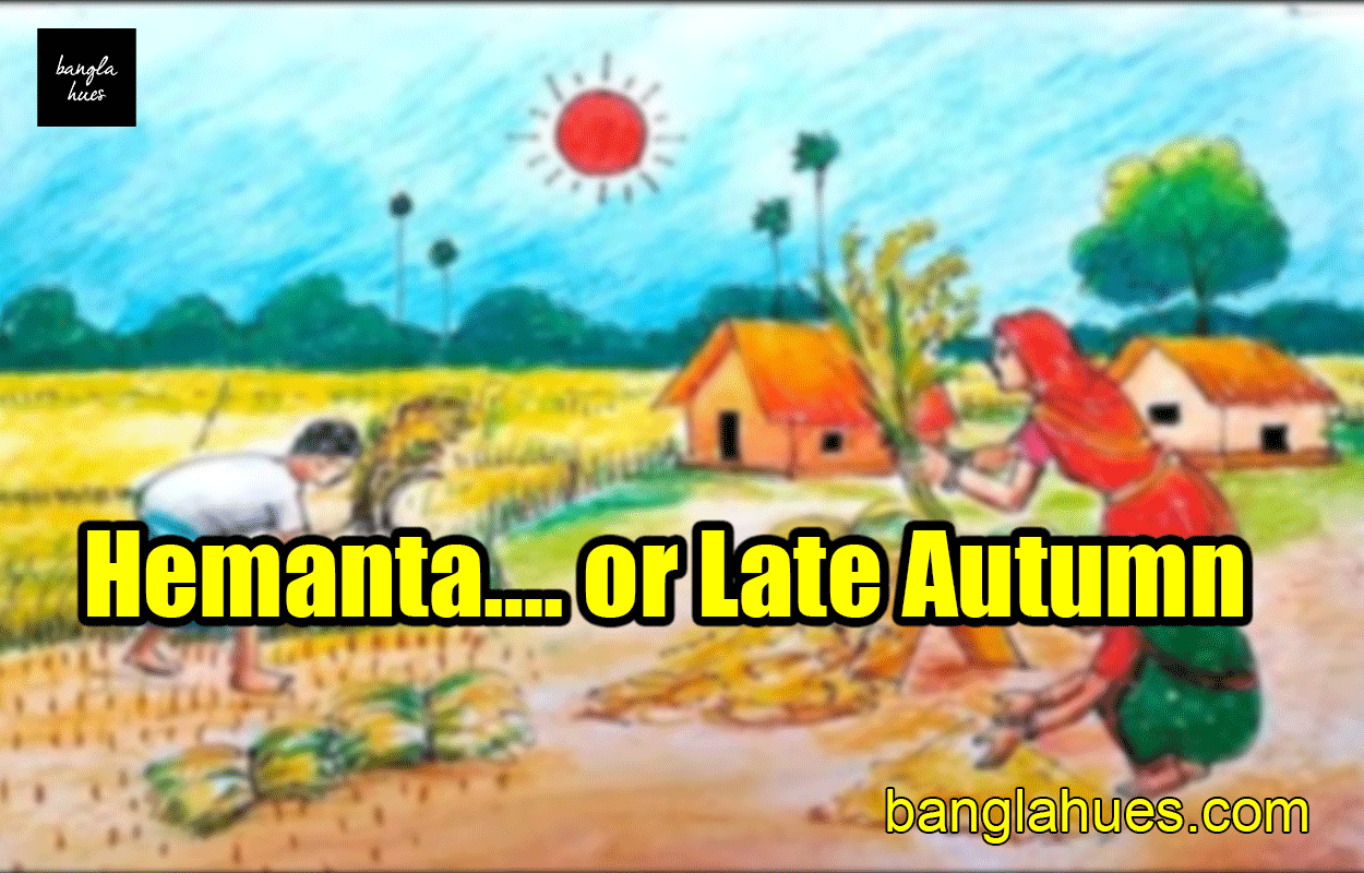 Hemanta.... or Late Autumn