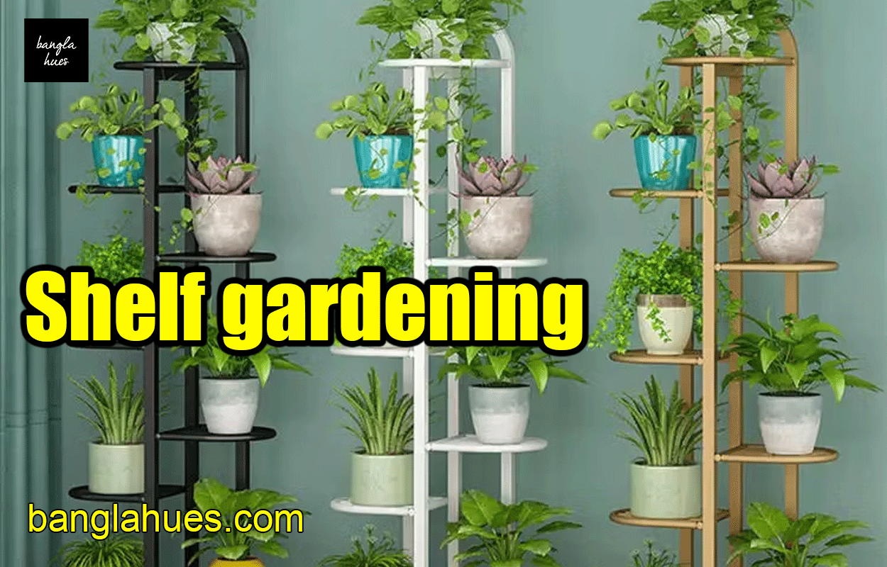 Shelf gardening 1 Shelf gardening