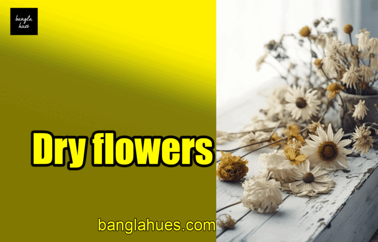 Dry flowers