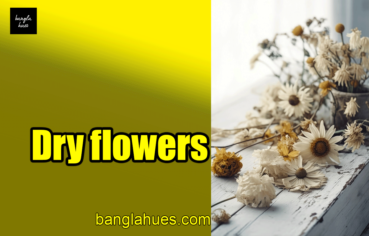 Dry flowers