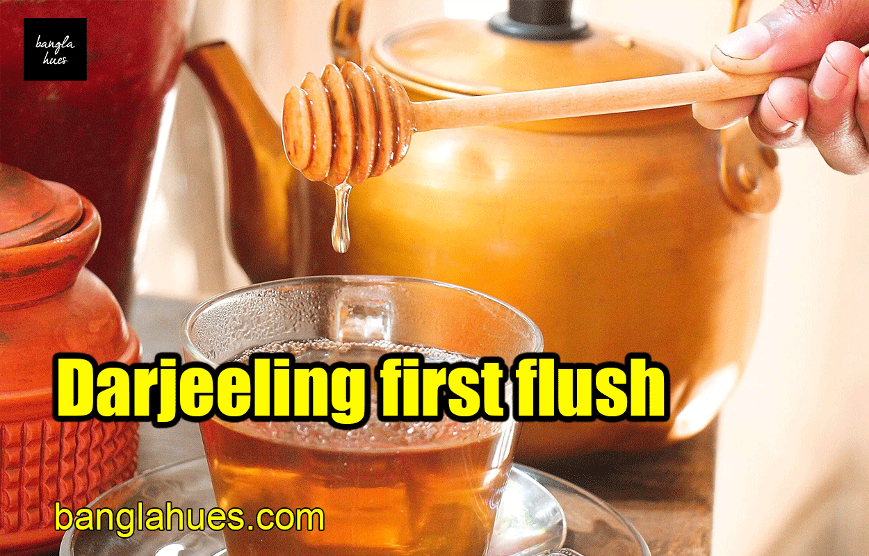 Darjeeling first flush 1 Darjeeling first flush