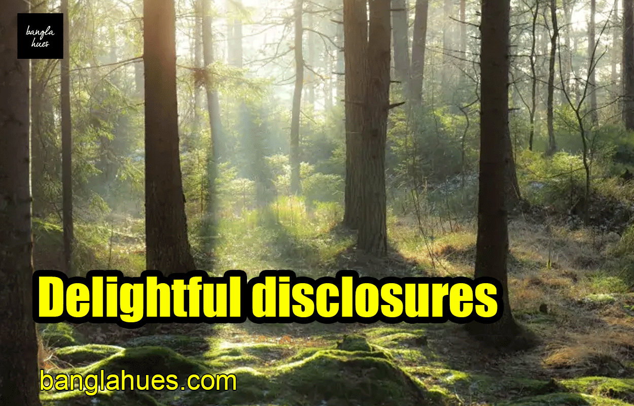 Delightful disclosures 1 Delightful disclosures