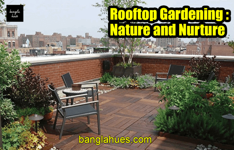 Rooftop Gardening : Nature and Nurture