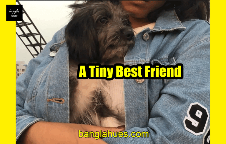 A Tiny Best Friend