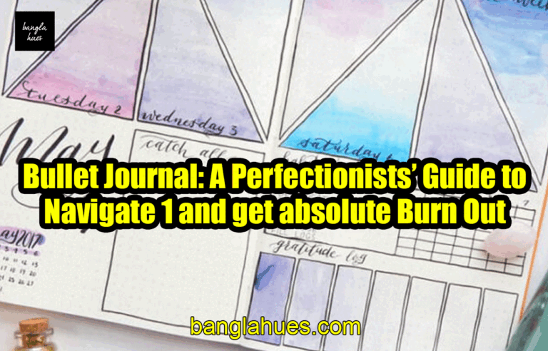 Bullet Journal: A Perfectionists’ Guide to Navigate 1 and get absolute Burn Out