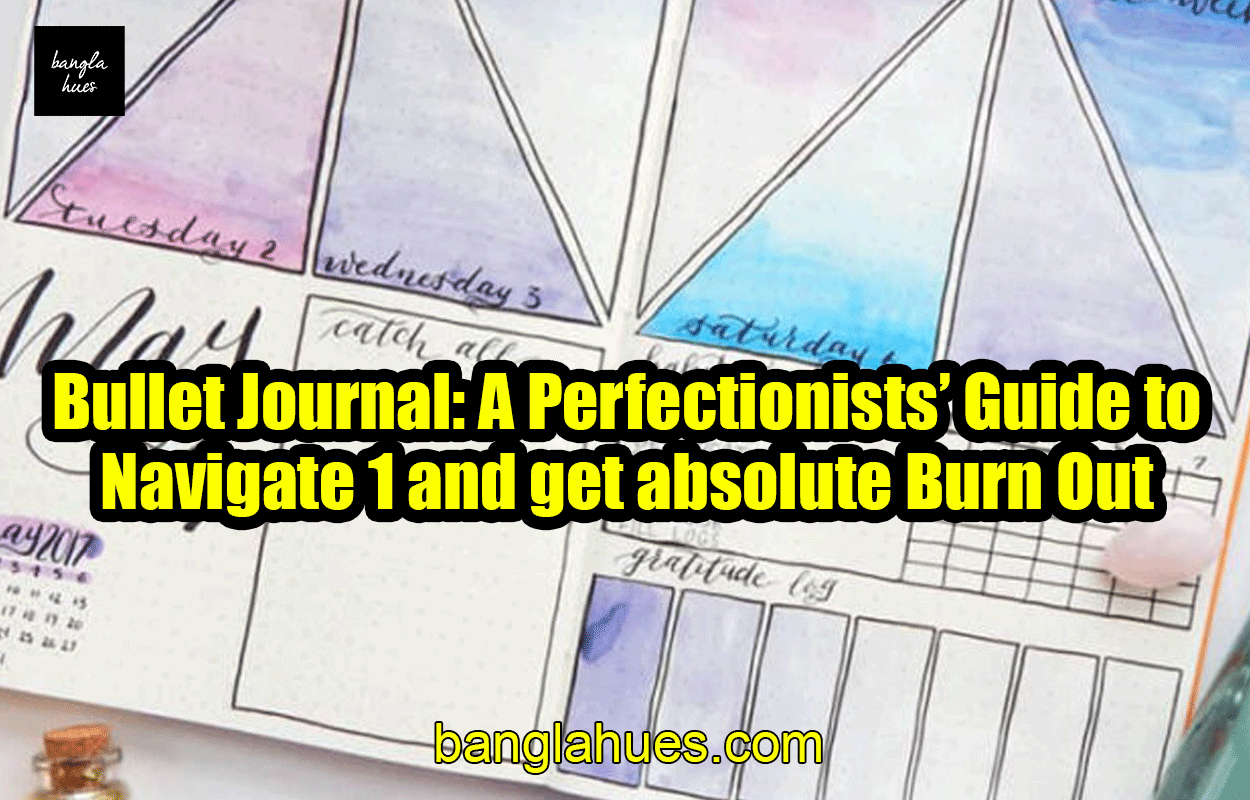Bullet Journal: A Perfectionists’ Guide to Navigate 1 and get absolute Burn Out